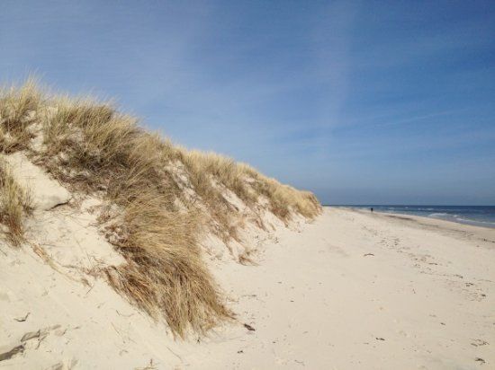 Mälarhusens strand