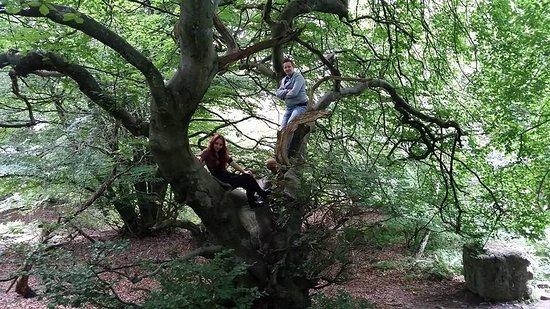 Skrylle Naturreservat