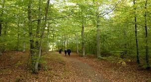 Ryssberget
