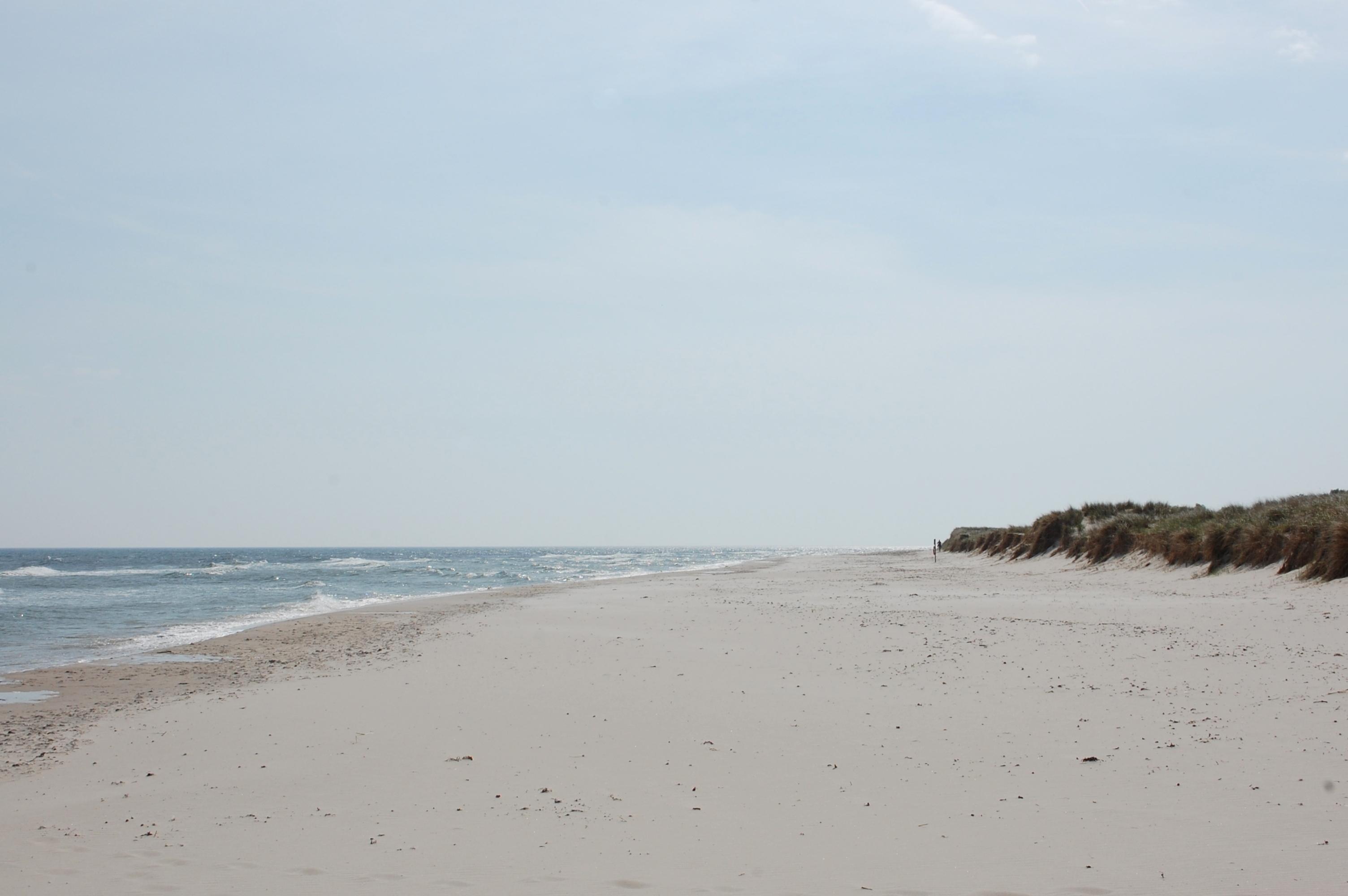 Sandhammaren