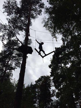 Treewalker