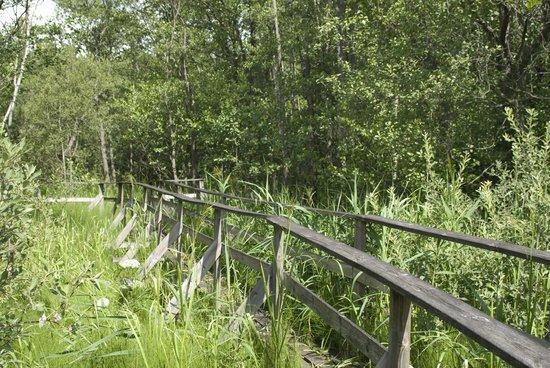 Nasumaviksleden Hiking Trail