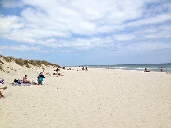 Borrby strand