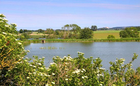 Hasslarps dammar