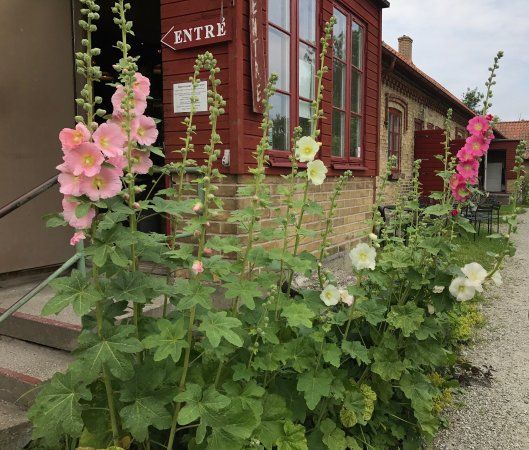 Statarmuseet i Skåne