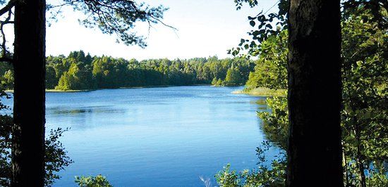 Fedingesjön