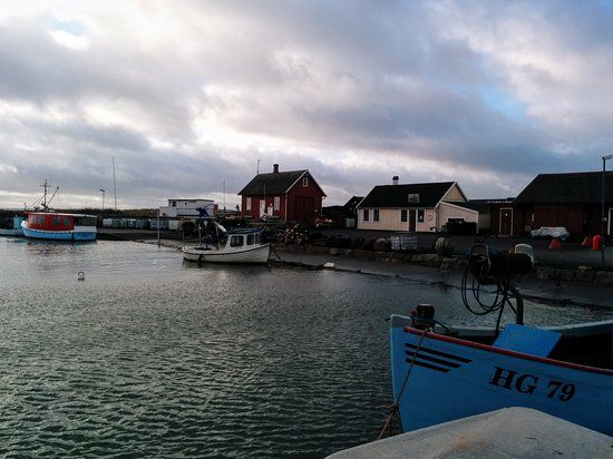 Galleri Viken