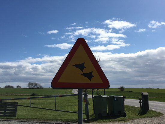 Österlens Flygmuseum